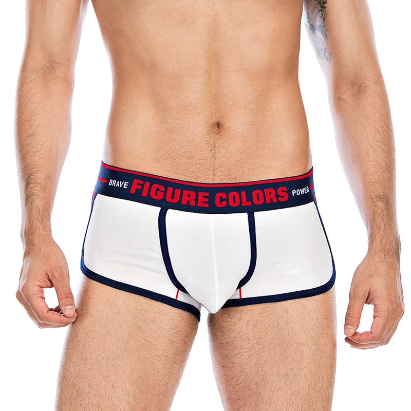 47558688080192|47558688112960|47558688145728|47558688178496|47558688211264